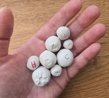Load image into Gallery viewer, guerrilla gardening seed bombs