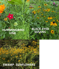 Load image into Gallery viewer, guerrilla gardening seed bombs