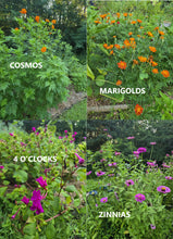 Load image into Gallery viewer, guerrilla gardening seed bombs
