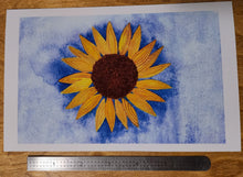 Load image into Gallery viewer, watercolor sunflower PRINT &quot;Blue and Yellow&quot; - Ukraine fundraiser
