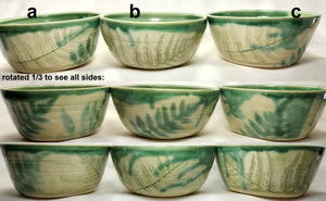 pottery soup bowl - FREE SHIPPING - handmade ceramic fern bowl